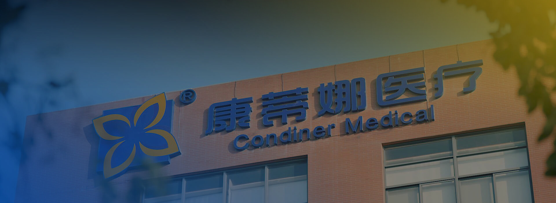 关于康蒂娜